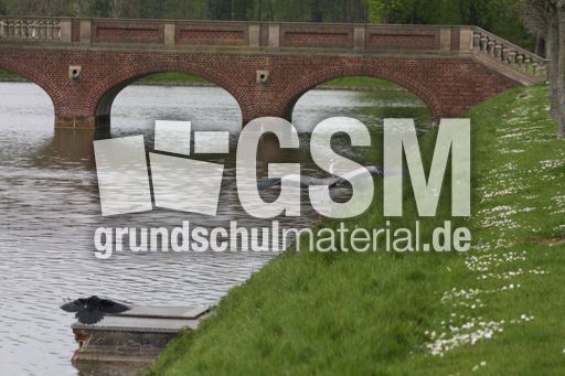 Graureiher-A 241.jpg